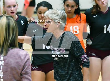Thumbnail 2 in Basha @ Hamilton photogallery.