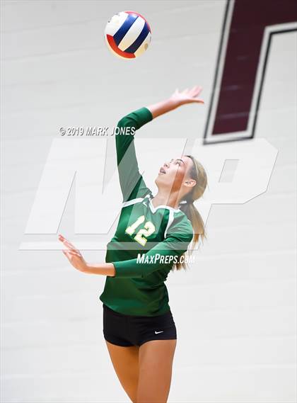 Thumbnail 1 in Basha @ Hamilton photogallery.