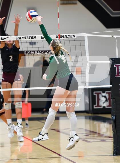 Thumbnail 2 in Basha @ Hamilton photogallery.