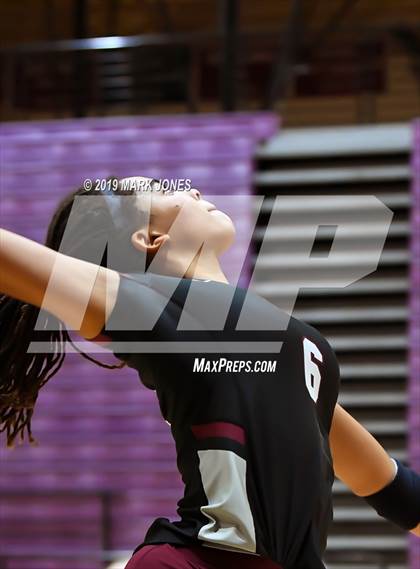 Thumbnail 2 in Basha @ Hamilton photogallery.