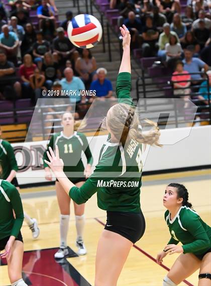 Thumbnail 1 in Basha @ Hamilton photogallery.