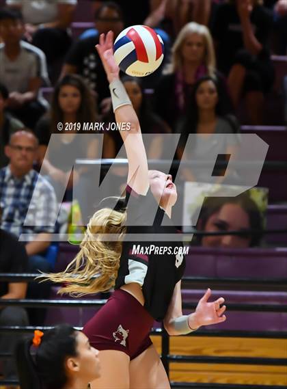 Thumbnail 1 in Basha @ Hamilton photogallery.