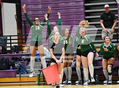 Thumbnail 1 in Basha @ Hamilton photogallery.