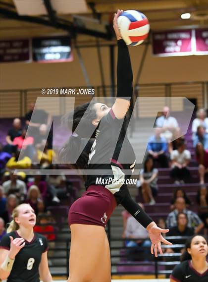Thumbnail 3 in Basha @ Hamilton photogallery.