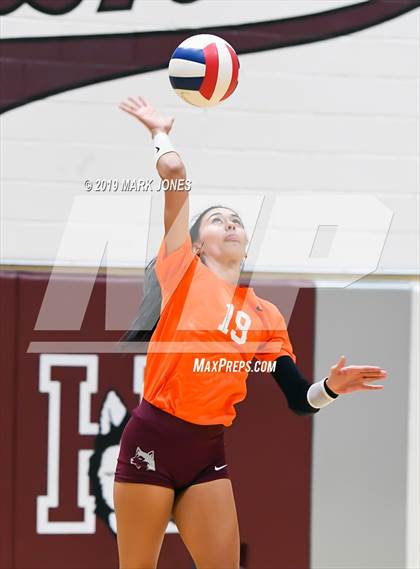 Thumbnail 3 in Basha @ Hamilton photogallery.