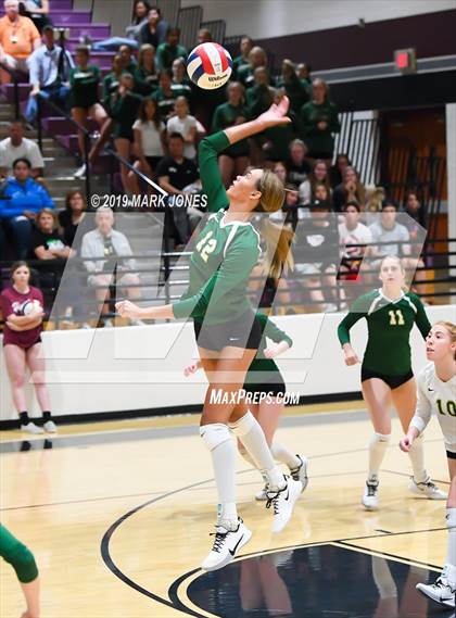 Thumbnail 2 in Basha @ Hamilton photogallery.