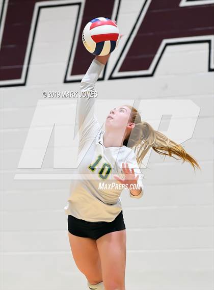 Thumbnail 3 in Basha @ Hamilton photogallery.