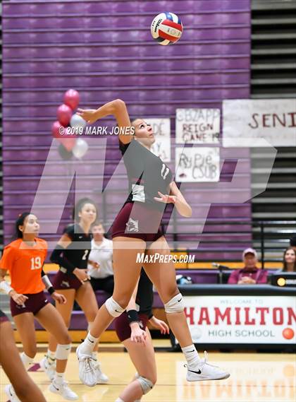 Thumbnail 1 in Basha @ Hamilton photogallery.