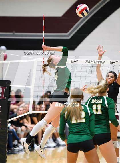 Thumbnail 2 in Basha @ Hamilton photogallery.