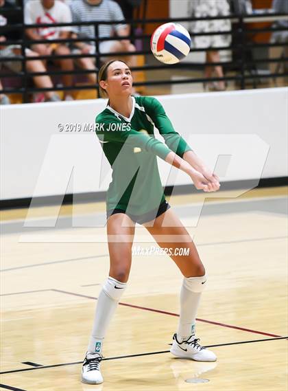 Thumbnail 2 in Basha @ Hamilton photogallery.