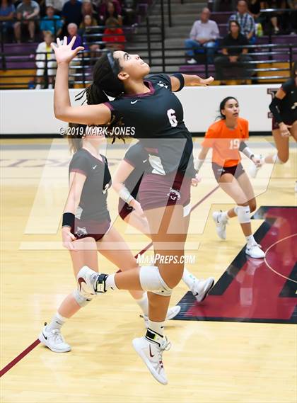 Thumbnail 3 in Basha @ Hamilton photogallery.