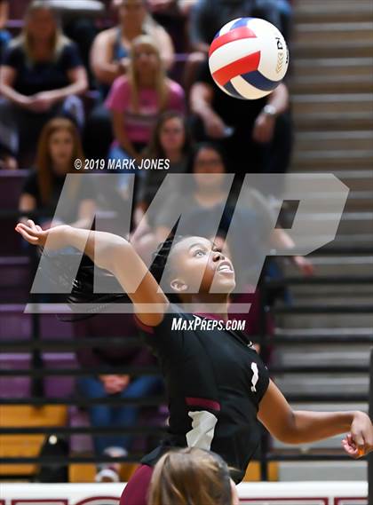 Thumbnail 1 in Basha @ Hamilton photogallery.