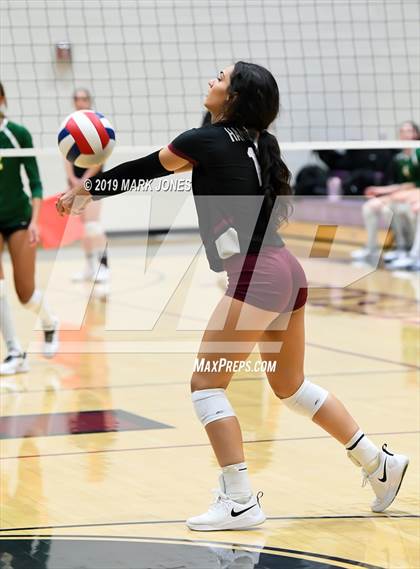 Thumbnail 1 in Basha @ Hamilton photogallery.