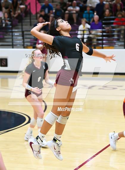 Thumbnail 2 in Basha @ Hamilton photogallery.