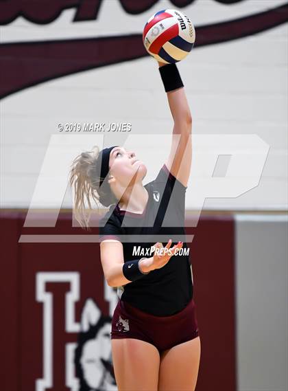 Thumbnail 3 in Basha @ Hamilton photogallery.