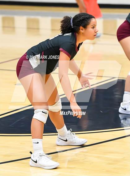 Thumbnail 3 in Basha @ Hamilton photogallery.