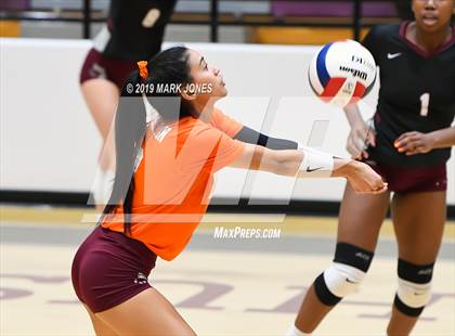 Thumbnail 2 in Basha @ Hamilton photogallery.