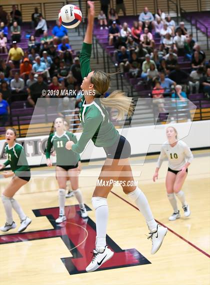 Thumbnail 1 in Basha @ Hamilton photogallery.