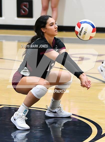 Thumbnail 2 in Basha @ Hamilton photogallery.