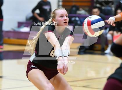 Thumbnail 3 in Basha @ Hamilton photogallery.