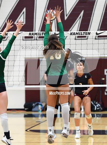 Thumbnail 1 in Basha @ Hamilton photogallery.