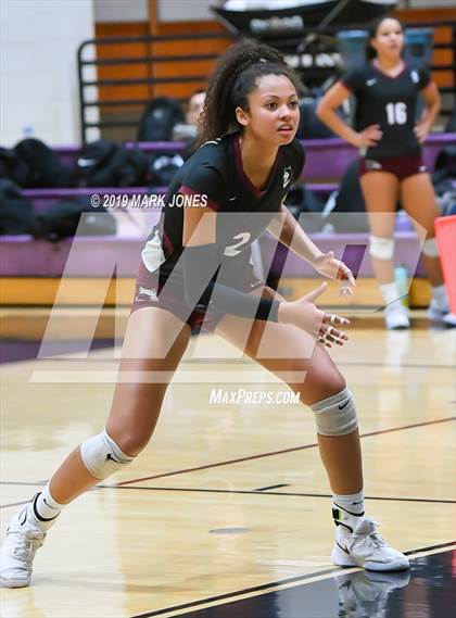 Thumbnail 2 in Basha @ Hamilton photogallery.