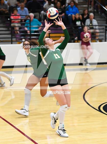 Thumbnail 3 in Basha @ Hamilton photogallery.