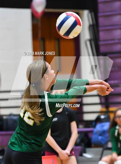 Thumbnail 2 in Basha @ Hamilton photogallery.