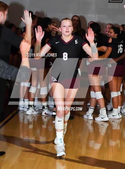 Thumbnail 3 in Basha @ Hamilton photogallery.