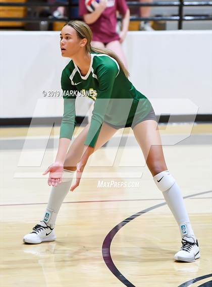 Thumbnail 2 in Basha @ Hamilton photogallery.