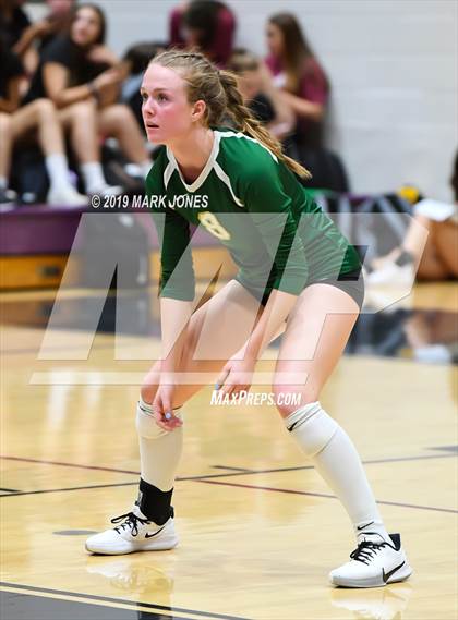 Thumbnail 2 in Basha @ Hamilton photogallery.