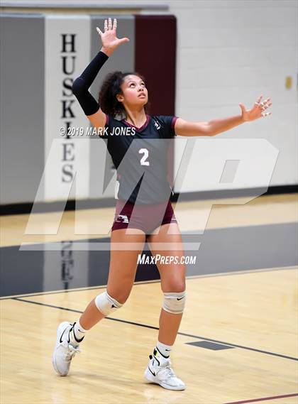 Thumbnail 3 in Basha @ Hamilton photogallery.