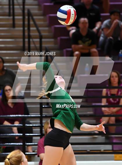 Thumbnail 3 in Basha @ Hamilton photogallery.