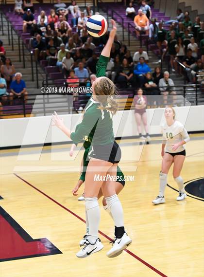 Thumbnail 2 in Basha @ Hamilton photogallery.