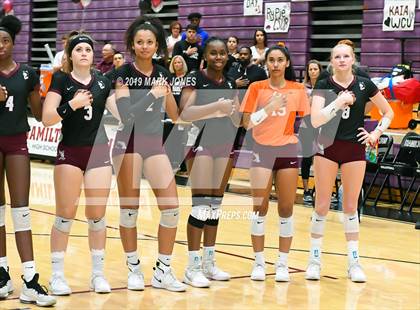 Thumbnail 3 in Basha @ Hamilton photogallery.