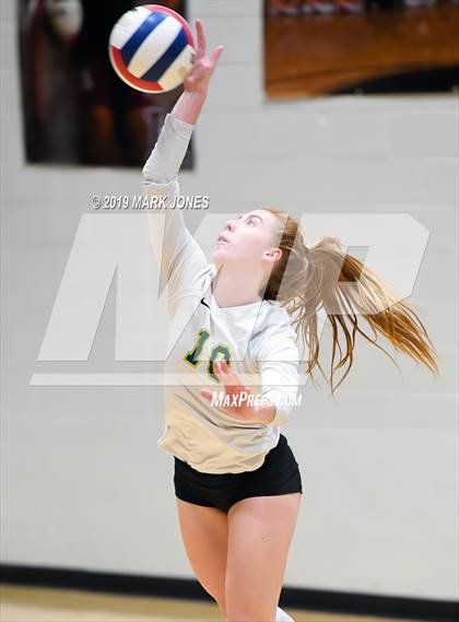 Thumbnail 2 in Basha @ Hamilton photogallery.