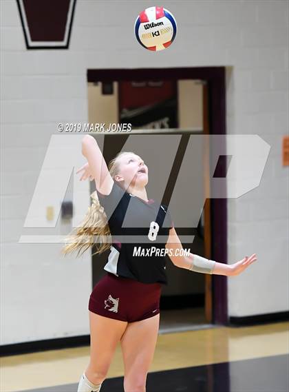 Thumbnail 1 in Basha @ Hamilton photogallery.