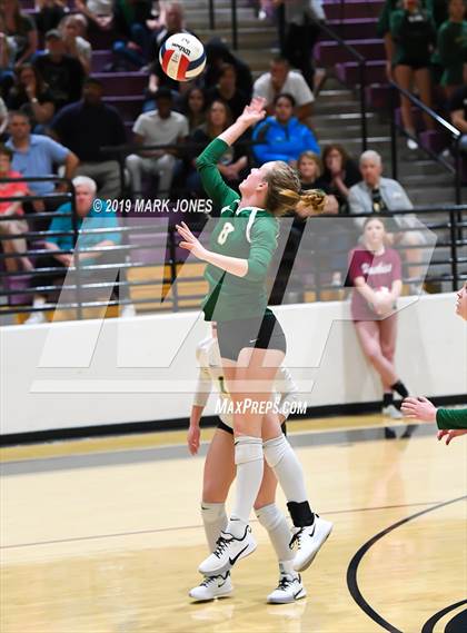 Thumbnail 1 in Basha @ Hamilton photogallery.
