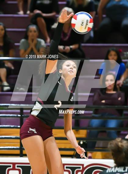 Thumbnail 1 in Basha @ Hamilton photogallery.
