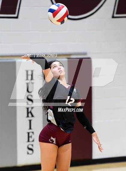 Thumbnail 3 in Basha @ Hamilton photogallery.