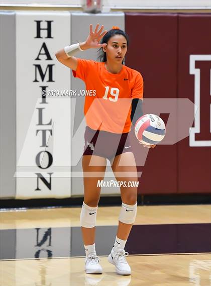 Thumbnail 2 in Basha @ Hamilton photogallery.