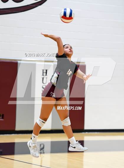 Thumbnail 1 in Basha @ Hamilton photogallery.