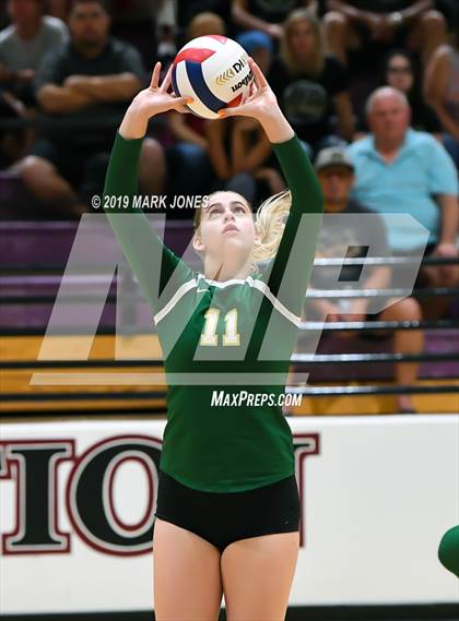 Thumbnail 1 in Basha @ Hamilton photogallery.