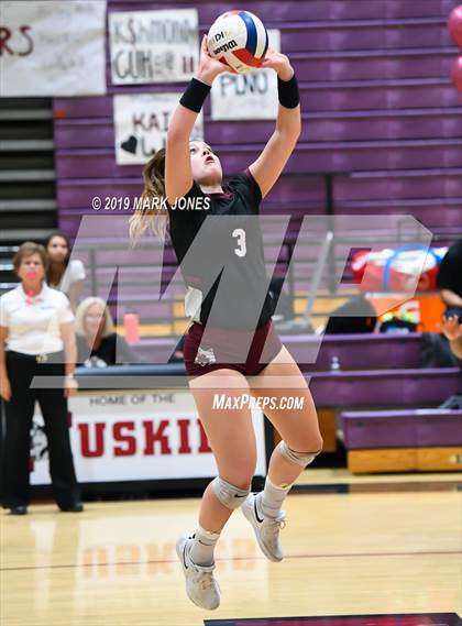 Thumbnail 3 in Basha @ Hamilton photogallery.