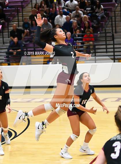 Thumbnail 3 in Basha @ Hamilton photogallery.