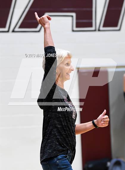 Thumbnail 2 in Basha @ Hamilton photogallery.
