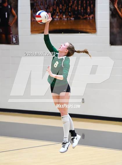 Thumbnail 3 in Basha @ Hamilton photogallery.