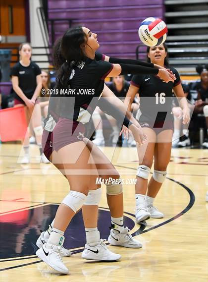 Thumbnail 1 in Basha @ Hamilton photogallery.