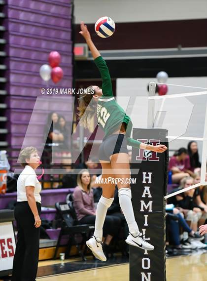 Thumbnail 2 in Basha @ Hamilton photogallery.