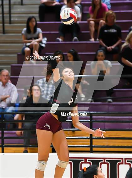 Thumbnail 3 in Basha @ Hamilton photogallery.